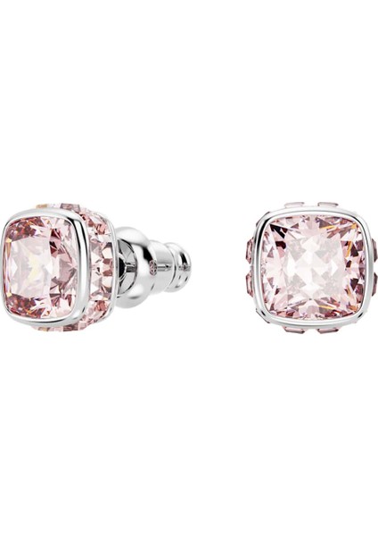 SWR5660799 Women's Earrings fiyatları