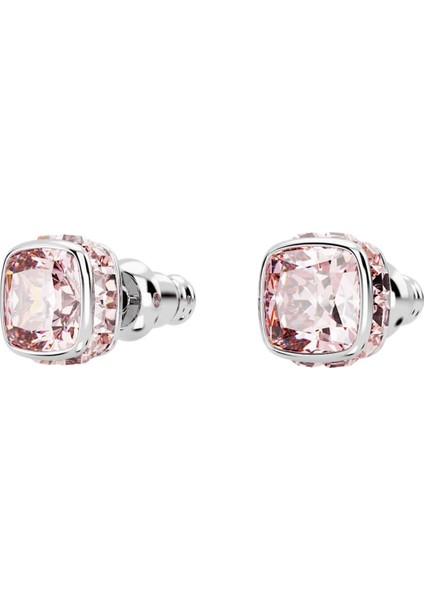 SWR5660799 Women's Earrings modelleri