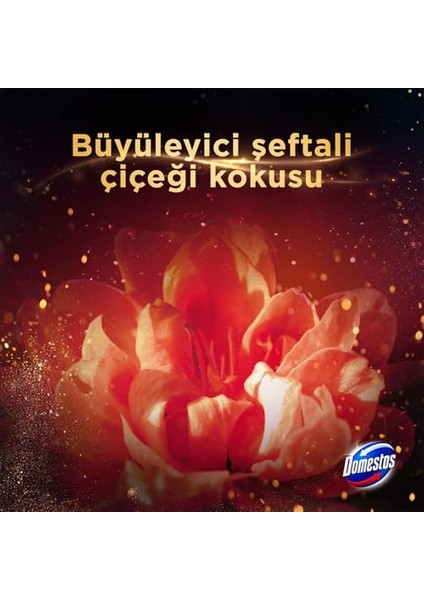 Aroma Lux Tuvalet Bloğu Şeftali Çiçeği 100G