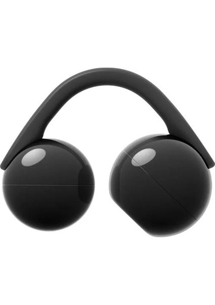 Sony WFLC900