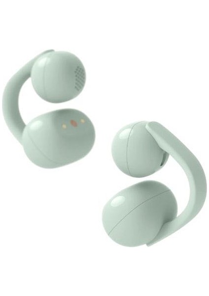 Sony WFLC900