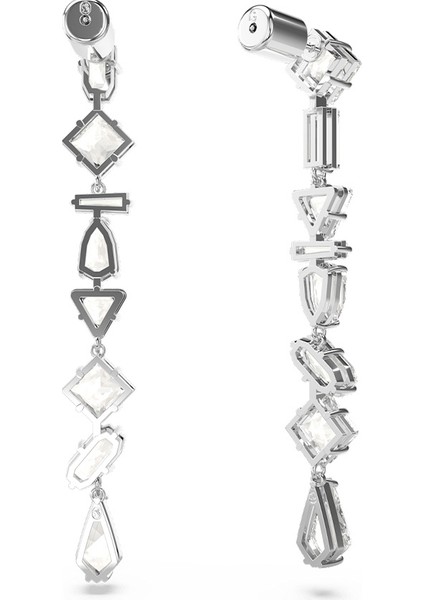 SWR5661687 Women's Earrings modelleri