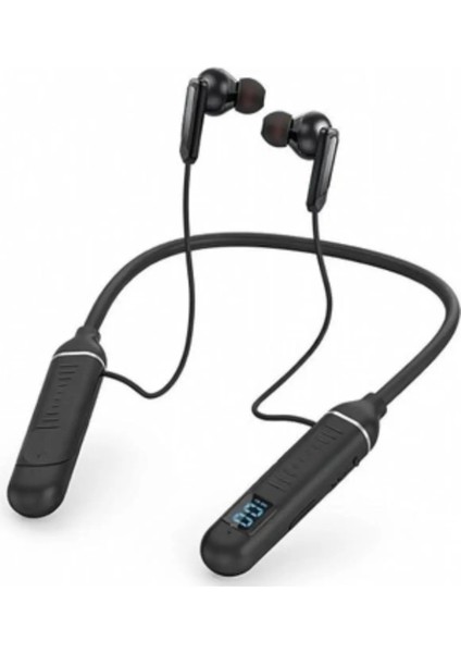Junglee PG250A