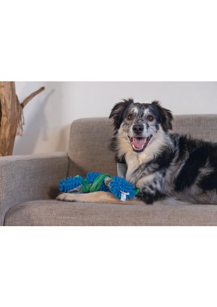 Mavi-Yeşil Peluş Tut Getir Köpek Oyuncağı 37X7X7 cm modelleri