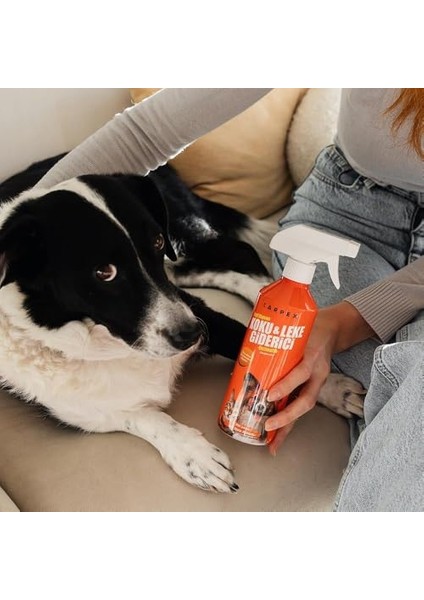 500 ml Evcil Hayvan Koku ve Leke Giderici Enzimatik Sprey, 2'li fiyatları