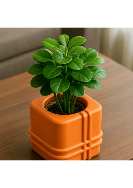3D Baskı Square Planter - Izgara Desenli Küp Saksı-Turuncu modelleri
