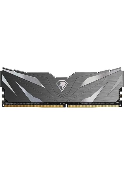 Netac 5600MHZ