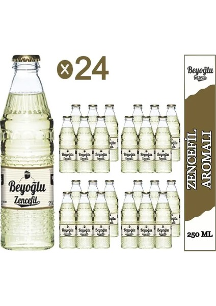 Beyoğlu Beyoğlu Zencefilli Gazoz 24X250 ml fiyatları