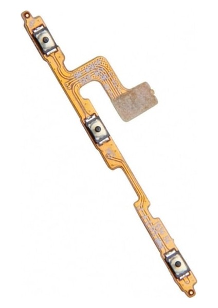 Mabelmestore M31
