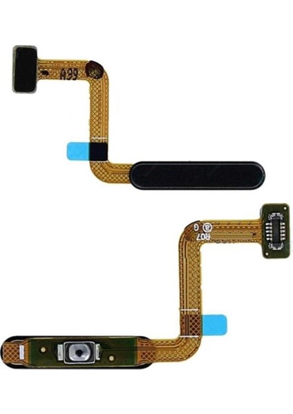 Mabelmestore M51