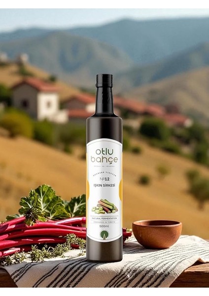 Bahçe Işkın/ışgın Sirkesi (Çiğ Içimlik, Analı) 500ML fırsatları