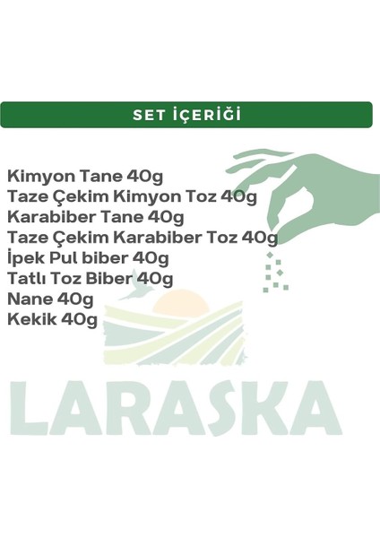 Mutfak Baharat Seti fiyatları