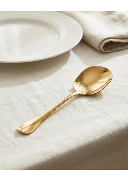 Gold Orta Boy Paslanmaz Çelik Servis Kaşığı & Profesyonel Sunum Gereci 21 cm fiyatları