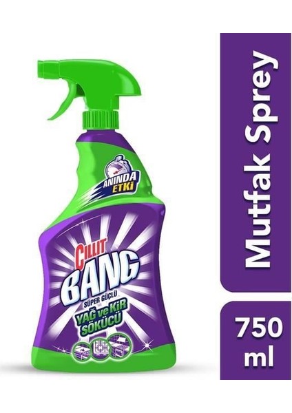 Sprey Yağ Çözücü 750ML 1 Adet fiyatları