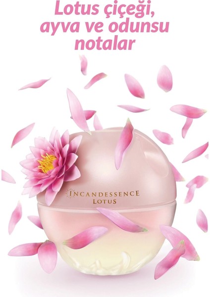 Incandessence Lotus Kadın Parfüm Edp 50 Ml. fiyatları