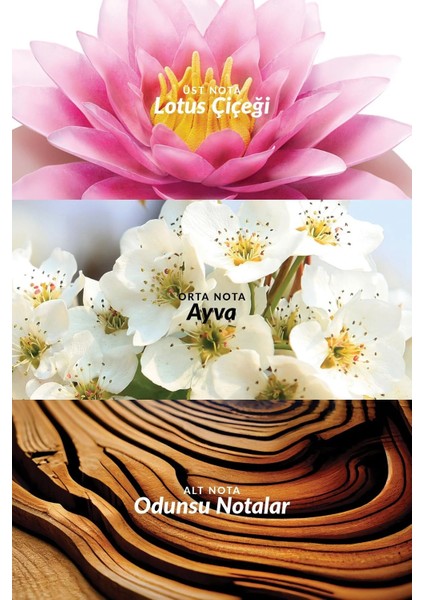 Incandessence Lotus Kadın Parfüm Edp 50 Ml. modelleri