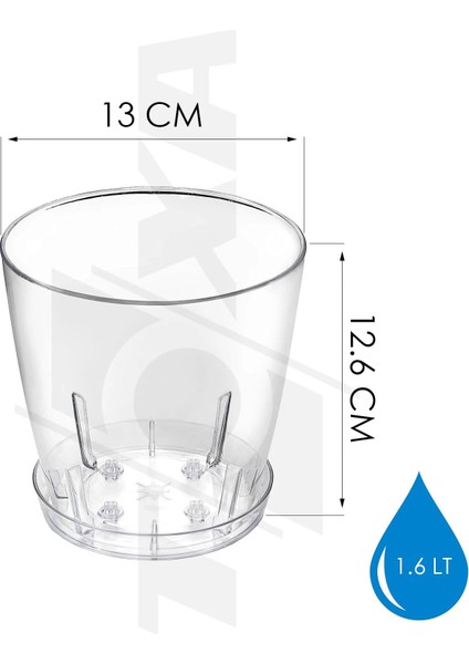 Tabaklı Orkide Saksısı, 1.6 Lt 13 Cm, Şeffaf Kristal Plastik fiyatları