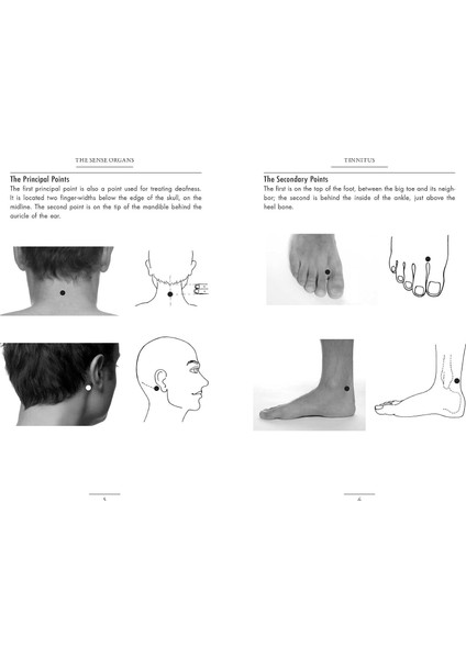 Acupressure Self-Care Handbook: Healing At Your Fingertips indirimleri