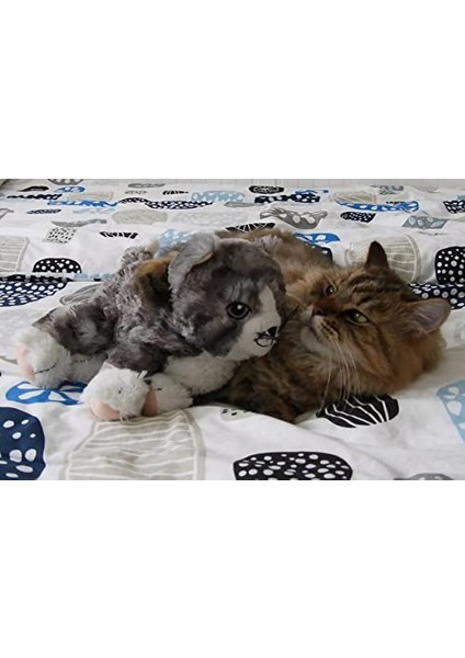 Ikea 002604.51 Lılleplutt Kedi Gri modelleri