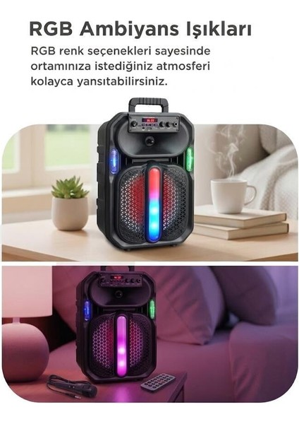 Özel Üretim Bluetooth Hoparlör D26 Siyah Piknik Mini Mikrofonlu modelleri