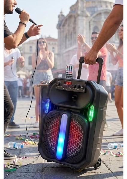 Özel Üretim Bluetooth Hoparlör D26 Siyah Piknik Mini Mikrofonlu fırsatları