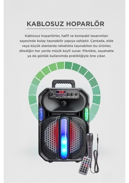 Özel Üretim Bluetooth Hoparlör D26 Siyah Piknik Mini Mikrofonlu indirimleri