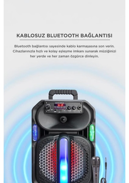 Özel Üretim Bluetooth Hoparlör D26 Siyah Piknik Mini Mikrofonlu