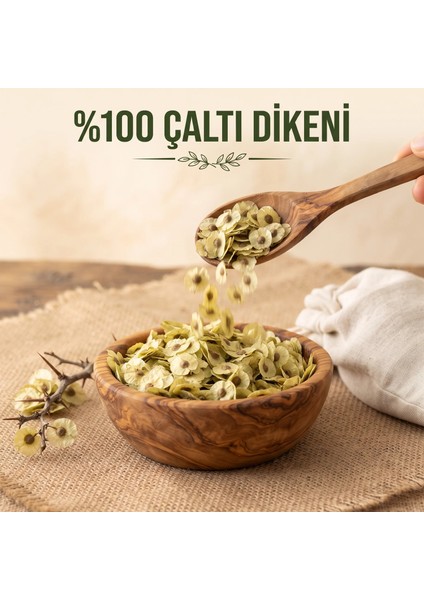 Çaltı Dikeni 40 gr fiyatları