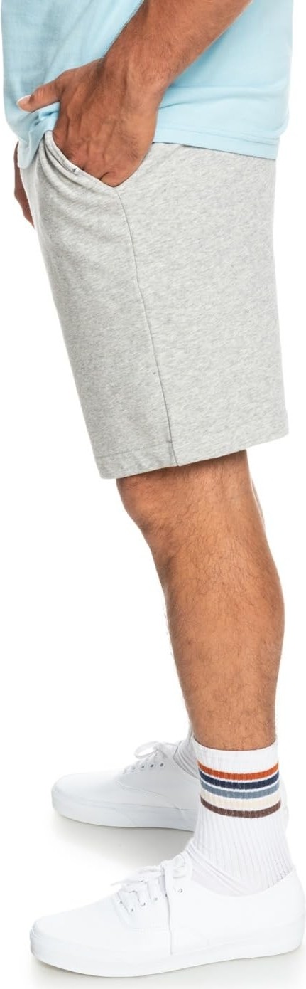 Die Grup Quiksilver Erkek Klasik Pantolon Essentials Şort görsel 5