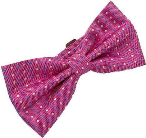 Brianze Mavi Beyaz Noktalı Pembe Papyon görsel 2