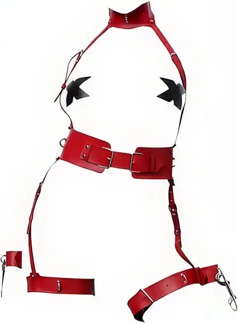 Motto10 Butik HDY MOTTO10 Butik Kırmızı Harness Takım Deri Yüksek Yaka Toka Detaylı - APFT1338