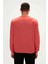 Fancy Crewneck Erkek Sweatshirt 19.02.12.007GINGER 2