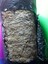 Istiridye Mantar Tohumu V2(1000 Gram) 3