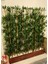 Yapay Bambu Ağacı %100 Orijinal Bamboo Gövde 2 mt Boy Seperatör Çam Lambiri Saksıda 1