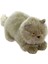 LISINYA193 Nessiworld Yatan Kedi Gri Peluş 26 cm 1