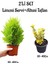 Limoni Servi FIDANI(30-40CM)+ALTUNI TAFLAN(30-40CM) 2'li Set Saksılı Bahçe Bitkisi 1