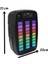 NWN1793 Mikrofonlu Karaoke Hoparlörü Rgb Ekolayzer Bluetooth Hoparlör Sd-Fm-Usb-Bt Toplantı Anfisi 3