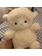 25 cm Süper Sevimli Koyun Peluş Bebek Kawaii Tavşan Alpaka Oyuncaklar Dolması Yumuşak (Yurt Dışından) 5