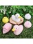 Adet Yaratıcı Mini Sevimli Sevimli Sıkıştırılmış Fidget Oyuncaklar / Çocuk Yetişkin Için Ses Yayan Stres Giderici Oyuncak (Yurt Dışından) 5