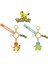 Hakiki Pokemon Charmander Anahtarlık Kawail Pokémon Aksiyon Figürü Anahtarlık Anime Karikatür Modeli Sevimli Çocuk Oyuncakları Bebek Çocuk Hediye (Yurt Dışından) 5