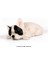Gerçekçi Fransız Bulldog, Pomeranian, Pug Hayvanlar Figürler, Sevimli Yavru Köpek Figürleri Ev Dekorasyon Eğitici Oyuncak Seti (Yurt Dışından) 2
