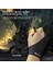 Siyah Stil Huion GL200 Iki Parmak Ücretsiz Boyut Çizim Eldiven Huion Gra Tablet Grafik Monitör Için Hafif Sweatproof Sanatçı Eldiven (Yurt Dışından) 3