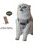 Kedi Göğüs Tasması Kedi Gezdirme Tasması Kediler Için 1