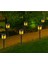 12 LED Güneş Fenerleri, Peyzaj Led'li Alev Işıkları Dekoru (Yurt Dışından) 1