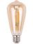 2x Kısılabilir E27 4W Edison Retro Vintage Filament ST64 Cob LED Ampul Işık Lamba Gövdesi (Yurt Dışından) 1