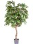 Yapay Smilax Ağacı Tek Gövde Yeşil 140 Cm. 1