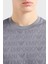 Pamuklu Regular Fit Bisiklet Yaka T Shirt Erkek T Shirt 3D1TH5 1jorz 0639 3
