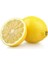 Tüplü Tatlı Limon/şeker Limon Fidanı 1
