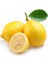 Meyve Verme Yaşında Tüplü Kokulu Tatlı Limon/şeker Limon Fidanı (Sınırlı Stok) 1