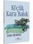 Küçük Kara Balık 1
